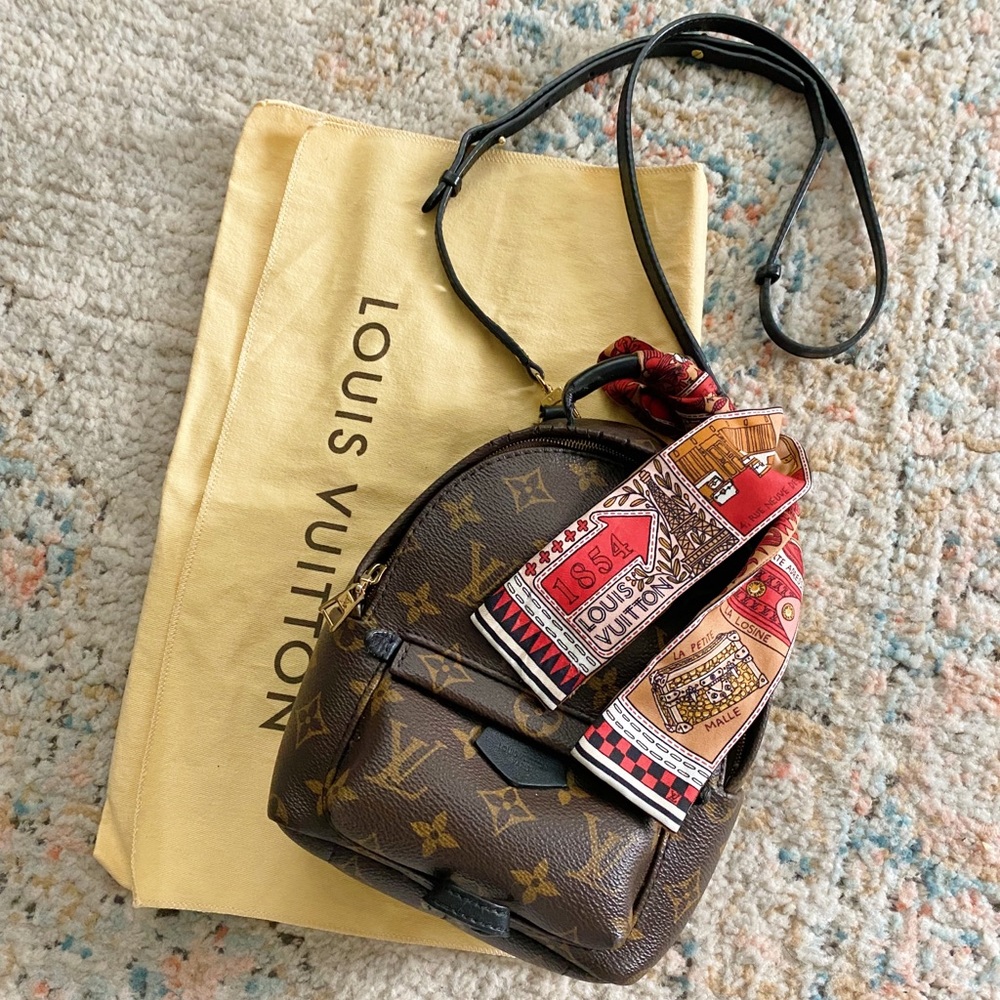 Louis Vuitton Palm Springs Mini